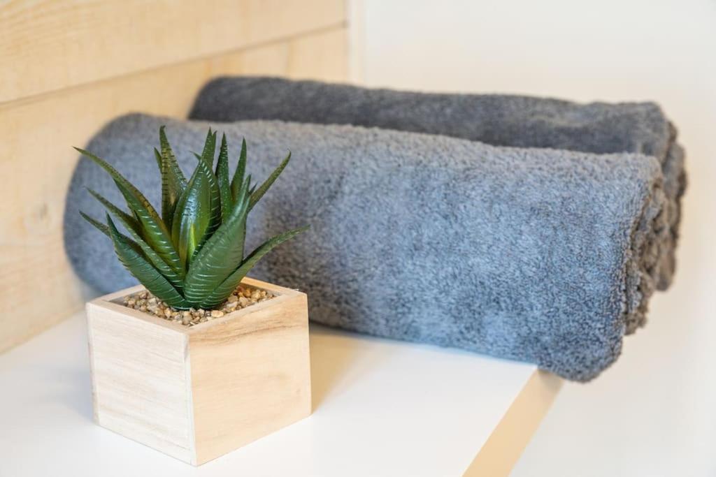 Oo Le Jardin Oo Paisible Studio Equipe Et Bien Place Кимпер Екстериор снимка